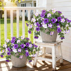 4 Pcs Artificial Fake Petunia Flowers for Outdoor Decoration, Faux Silk Petunias Flower for Spring UV Resistant No Fade Realistic Plants for Garden Balcony Yard Porch Indoor Decor(Purple White)