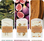 SCENTORINI Wax Melts, Premium Wax with Essential Oil, Summer Scents, Scented Wax Melts, Natural Dried Flower, Pine Needles, Sandalwood, Mediterranean Fig, 2.5 oz X 3 Pack