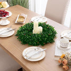 SHACOS Olive Greenery Wreath 17" Artificial Boxwood Front Door Wreaths for Home Wall Window Farmhouse Decoration 100% Plastic Indoor Outdoor