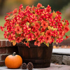 8 Bundles Fake Fall Flowers Artificial Plants for Outdoor Decorations, Faux Fall Petunias Flowers for Outside UV Resistant Realistic Planters for Garden Porch Patio Indoor Autumn Decor(Orange Red)