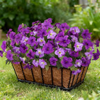 6 Pcs Artificial Petunia Flowers for Outdoors, Fake Flowers for Outdoor Planter, UV Resistant Realistic Faux Petunias Plants for Outside No Fade for Garden Porch Patio Indoor Decor(Double Purple)