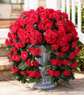 Ivydale Fake Geraniums Artificial Flowers for Outdoors Spring Plants Decor, 2 PCS Red Faux Hanging Flowers Outdoor Realistic Silk Geraniums Vines UV Resistant for Outside Planters Porch Patio Garden