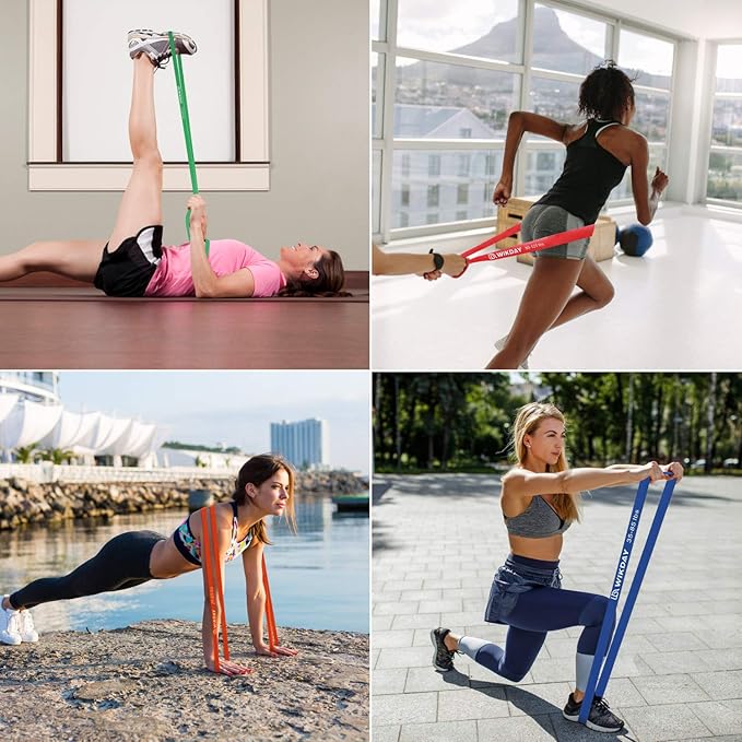 Resistance Bands, Pull Up Bands, Workout Bands for Exercise, Thick Heavy Resistance Band Set with Door Anchor, Elastic Bands for Body Stretching, Training at Home/Gym for Men & Women
