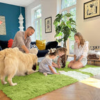 OLANLY 8x10 Machine Washable Large Area Rugs for Living Room, Bedroom, Soft Fluffy Shaggy Bedside Rug, Indoor Floor Carpet for Kids Girls and Boys, Dorms, Nursery, Home Decor Aesthetic, Grass Green
