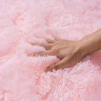 Small Area Rug, 2x3 Pink Rug for Bedroom Shaggy Throw Rugs for Girls Room, Soft Carpet for Kids Room, Plush Non-Slip Fluffy Bedside Rug for Living Room Nursery Dorm Home Decor