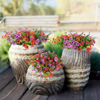 Homsunny Artificial Fake Flowers Plants for Outdoors, 12 Bundles Multicolor Fake Silk Daisy Flowers with Ferns Spring Summer Decor, UV Resisitant Faux Mums for Outside Planter Pot Front Porch Yard