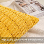Aegero Pack of 2 Corduroy Decorative Throw Pillow Covers 12x20 InchSoft Boho Striped Pillow Covers Modern Farmhouse Home Decor for Sofa Living Room Couch Bed（Yellow）