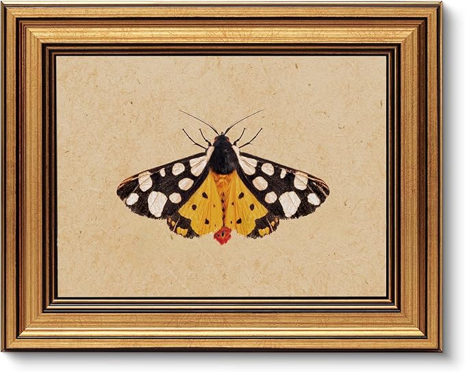 VIYYIEA Vintage Gold Framed Wall Art for Living Room, Arctia Caja Canvas Prints Home Decor, Oil Painting Picture, Bedroom Wall Decor Gifts for Friends or Family -【Arctia Caja】-(10L x 8W)