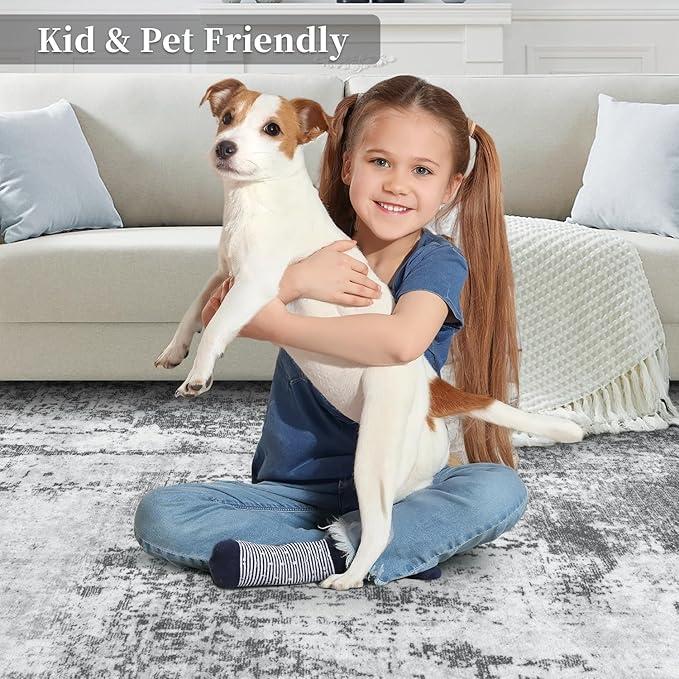 Ciicool Abstract Area Rug Indoor, 3x5 Washable Entryway Rug, Modern Soft Throw Rug with Non-Slip Backing Ideal for Bedroom Living Room Entrance Kitchen, Non-Shedding Low-Pile Floor Carpet Doormat Gray
