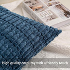 Aegero Pack of 2 Corduroy Decorative Throw Pillow Covers 24x24 InchSoft Striped Pillow Covers Modern Farmhouse Home Decor for Sofa Living Room Couch Bed（Teal）