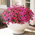 Artificial Flowers Faux Plants for Outdoor Fake Flower Spring Decoration, 12 Bundles Silk Daisy Bulk UV Resistant Realistic for Outside Porch Patio Balcony Planter Yard Garden Home Decor(Pink)