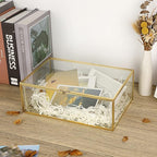 Hipiwe Vintage Glass Keepsake Box - Rectangle Jewelry Display Organizer, Vanity Lidded Home Decor Accent for Storage Trinket Rings Bracelet Rock - X-Large