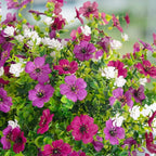 Artificial Flowers for Outdoors Spring Decoration, 12 Bundles Fake Flower Daisy with Realistic Eucalyptus Leaves, Faux Plants for Greenery Boxwood Porch Patio Garden Pot Lawn