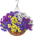 Ivydale 20 Bundles Fake Pansy Hanging Basket for Outdoor Decoration, Artificial Silk Pansies Hanging Plant, UV Resistant & Lifelike for Patio Garden (4-Mixed Color)