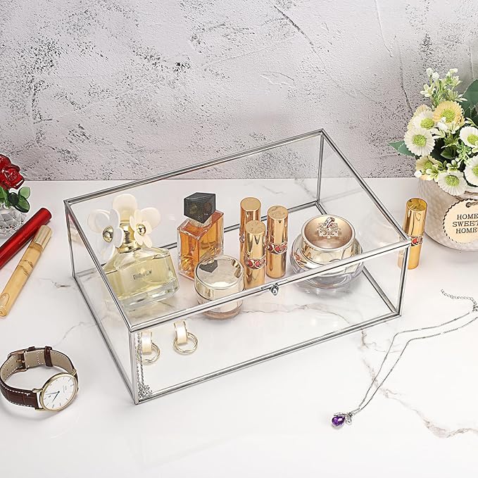 Hipiwe Vintage Silver Rectangle Jewelry Display Organizer Box with Lid, X-Large, USSN202312DUH