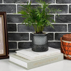 Decorative Books for Home Decor,Set of 3 Aesthetic Faux Books with Storage Box,Linen Fake Books for Coffee Table,Bookshelf & Mantle Decor,Modern Decorative Book Set (Sage)