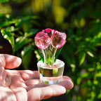 3.2 * 2in Crystal Pink Rose Flower Figurine Romantic Gifts for Wife Girlfriend Mom on Birthday Wedding Home Decorations