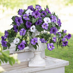 HyeFlora Artificial Flowers for Outdoors 2PCS Spring Faux Morning Glory Look Real Silk Flowers for Outside Planter UV Resistant Fake Flowers for Home Garden Balcony Yard Porch Deco Purple