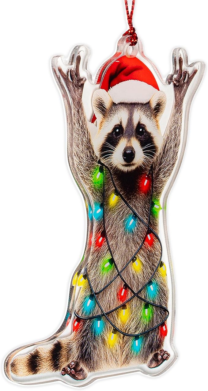 Funny Christmas Ornaments, Racoon Christmas Ornament, Christmas Ornaments 2026, Raccoon Gifts for Women Animal Lovers, Animal Gifts for Friends, Coworker, Raccoon Ornament Christmas Decorations
