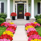 Artificial Geraniums Flowers for Outdoors Spring Decor, 8 Bundles UV Resistant Fake Geraniums Flowers Silk Faux Plants for Home Planter Gardens Table Patio Porch Indoor Summer Cemetery Decor(Red)