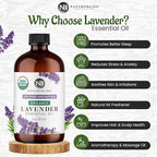 NaturoBliss Organic Lavender Essential Oil, 100% Pure Therapeutic Grade, Premium Quality, 1 fl. Oz / 30 ml - Perfect for Aromatherapy and Relaxation (30ml)