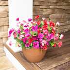 Hibiscus Artificial Flowers Plants for Outdoors Summer Decoration, 6 Bundles Fake Silk Hibiscus Bouquet Realistic UV Resistant Tropical Flowers Artificial for Outside Planter Front Door Porch Patio