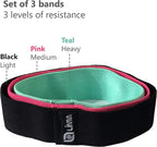 Fittest Pro by Limm Resistance Bands for Legs and Butt, Fabric Exercise Loop Bands Yoga, Pilates, Rehab, Fitness and Home Workout, Strength Bands for Booty