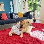 OLANLY 3x5 Machine Washable Small Bedside Rug, Soft Fluffy Shaggy Rugs for Living Room, Bedroom, Indoor Floor Carpet for Kids Girls and Boys, Preppy Dorms, Nursery, Home Decor Aesthetic, Red