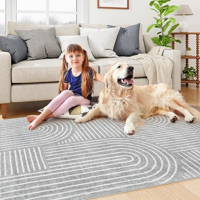Lahome Abstract Area Rug 5x7,Soft Washable Rugs for Living Room Ultra-Thin Non Slip Gray Rugs for Bedroom, Throw Rug Carpet for Dining Room Office Playroom(5'x7',Gray)