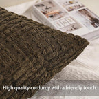 Aegero Pack of 2 Corduroy Decorative Throw Pillow Covers 22x22 Inch Soft Striped Pillow Covers Modern Farmhouse Home Decor for Sofa Living Room Couch Bed（Green）