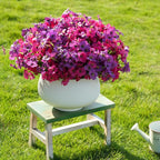 24 Bundles Artificial Flowers for Outdoor Faux Plants for Spring Summer Decoration, UV Resistant Realistic Silk Plastic Fake Flowers Garden Porch Patio Balcony Yard Front Home Decor