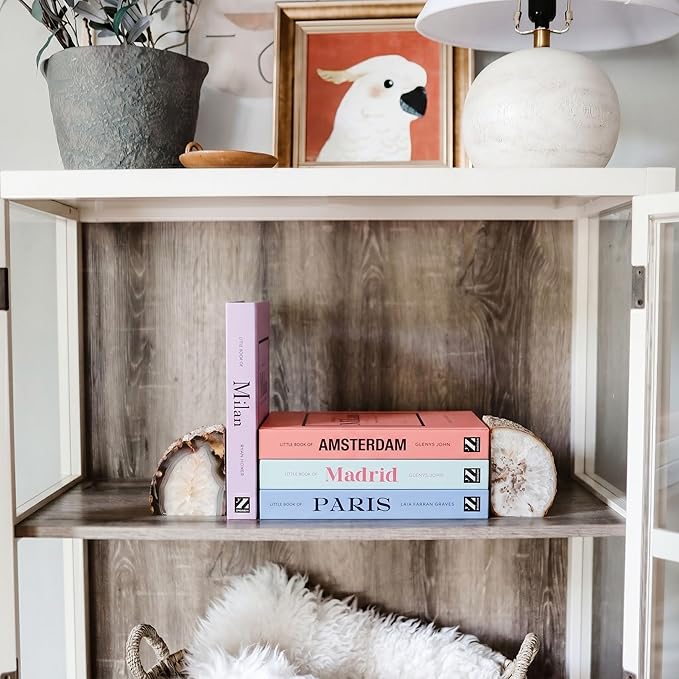 PROBENEX Pastel Medium | 4 PCS Faux Decorative Books for Home Decor | Not Real Books (Cardboard Boxes) | Coffee Table, Shelf Styling & Modern Aesthetic Accent Pieces for Living Room, Office
