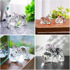 HDCRYSTALGIFTS 2.8inch Crystal Hippo Figurines Collectibles Gift for Women Art Glass Hippopotamus Statue Animal Paperweight Ornament for Table Home Decoration