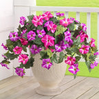 Artificial Fake Flowers Plants for Outdoor Decoration, 2PCS Faux Petunias Silk Flower UV Resistant No Fade Floral for Home Outside Garden Balcony Yard Porch Realistic Indoor Decor (Fuchsia Lotus)