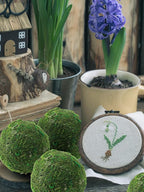 Biubee 6Pack Decorative Faux Dried Moss Balls- 3" Artificial Green Plant Mossy Globes Handmade Sphere Moss Gift for Home Dough Bowl Vase Chinoiserie Decors Party Wedding Display