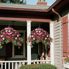 Artificial Fake Flowers Plants for Outdoors Spring Decoration, 2Pcs Faux Petunias with Greenery UV Resistant No Fade, Realistic Silk Flower for Outside Patio Planters Front Porch Window (Rose Red)