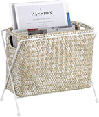 BTSKY Handwoven Magazine Holder, Natural Seagrass Magazine Basket with Metal Rack, Mail Holder Floor Organizer for Office, Living Room, Dorm, Bathroom, Woven Rattan File Basket with Handle (White)