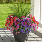 Artificial Flowers for Outdoors Faux Plants Outside Indoor,UV Resistant Silk Fake Petunia Tall Ferns for Home Patio Garden Back Yard Front Poch Decor Spring Summer(13 Bunchs,4 Multi Colors)