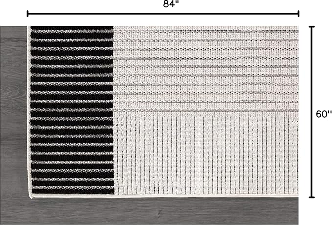 Modern Micro Loop Indoor Area Rugs for Living Room Bedroom Kitchen Geometric Striped Black-White 5x7 Luxury Durable Low and High Pile Non-Shedding Stain Resistant Soft Area Carpet 5 x 7
