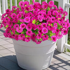 Artificial Flowers for Outdoors Decoration, 12 Bundles Fake Plastic Flower Plant, Faux Colorful Silk Morning Glory Eucalyptus for Outside Garden Porch Front Door Decor, Purple