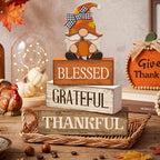 Lineshading 4 Pcs Wooden Farmhouse Tabletop Decor Rustic Home Tiered Tray Decor Decorative Farmhouse Table Decoration Home Block Signs Gift(Blessed Gnome)