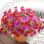 HyeFlora Artificial Flowers for Outdoors Spring Summer Decor, 6 Bundles Fake Daisy Silk Flowers for Outside Realistic UV Resistant Faux Plants for Outdoor Planters Porch Porch Patio Balcony Yard Home