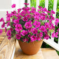 Fake Hibiscus Artificial Flowers for Outdoors Spring Summer Decoration, 6 Bundles Silk Hibiscus Flowers Bouquet UV Resistant Look Real Faux Plants for Outside Planter Front Door Porch Balcony, Fuchsia