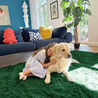 OLANLY 5x8 Machine Washable Large Area Rugs for Living Room, Bedroom, Soft Fluffy Shaggy Bedside Rug, Indoor Floor Carpet for Kids Girls and Boys, Dorms, Nursery, Home Decor Aesthetic, Dark Green