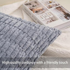 Aegero Pack of 2 Corduroy Decorative Throw Pillow Covers 22x22 Inch Soft Striped Pillow Covers Modern Farmhouse Home Decor for Sofa Living Room Couch Bed（Light Grey）