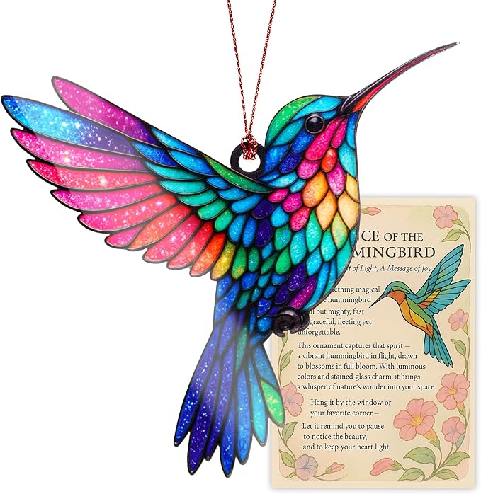 Hummingbird Gifts for Women - Mothers Day mom Gifts - Hummingbirds Christmas Ornament 2026 for Meaningful Valentines Hummingbird Valentines Birthday Gift for Mom Wife Girlfriend