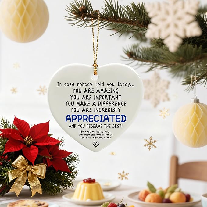 in Case Nobody Told You Today: You are Amazing, Important & Make a Difference - Affirmations Sign | Office Gift, Appreciation Gifts, Thank You Gifts, Going Away, Retirement Gift | Christmas Ornament