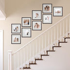 Sheffield Home 9 Piece Gallery Wall Frame Set, 12x12 Inch, Dark Oak