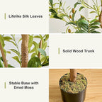 VECELO Artificial Olive Tree, 5FT Faux Olive Trees, Fake Silk Plant for Indoor Outdoor Home Office Decor, 2 Pack