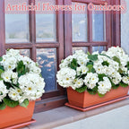 Artificial Geraniums Flowers for Outdoors Spring Decor, 4 Bundles UV Resistant Fake Geraniums Flowers Silk Faux Plants for Home Planter Gardens Table Patio Porch Indoor Cemetery Summer Decor(White)